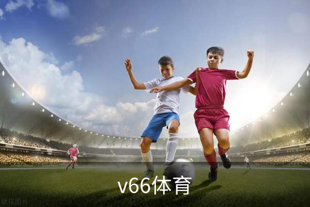 关于v66体育